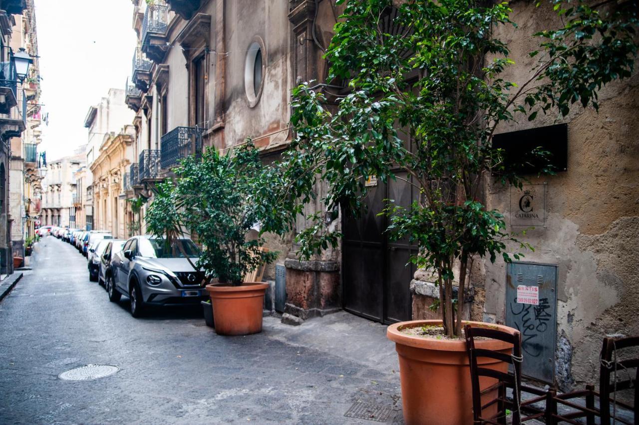 Catarina Suites - Centro Storico CTA Eksteriør billede
